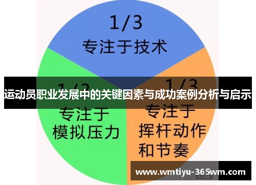 运动员职业发展中的关键因素与成功案例分析与启示