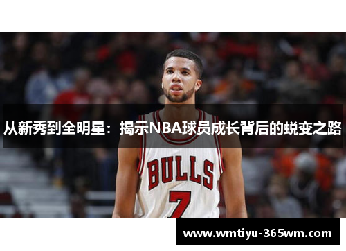 从新秀到全明星：揭示NBA球员成长背后的蜕变之路